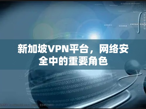 新加坡VPN平台，网络安全中的重要角色