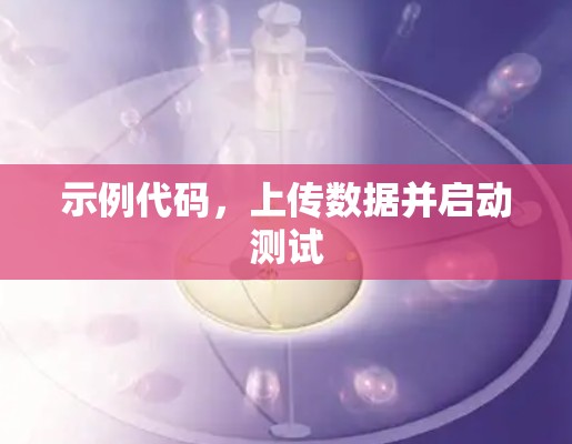 示例代码，上传数据并启动测试