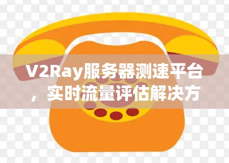 V2Ray服务器测速平台，实时流量评估解决方案