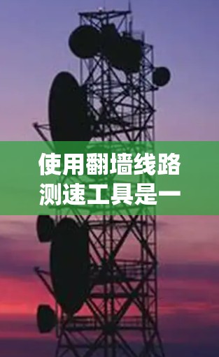 使用翻墙线路测速工具是一个系统的学习过程，逐步掌握网络分析和配置方法。以下是详细的步骤指南