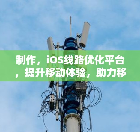 制作，iOS线路优化平台，提升移动体验，助力移动应用的高效运行