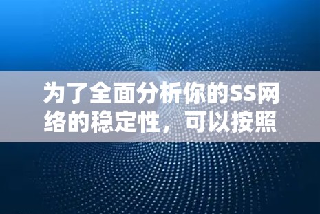 为了全面分析你的SS网络的稳定性，可以按照以下步骤进行