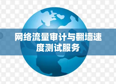 网络流量审计与翻墙速度测试服务