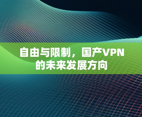 自由与限制，国产VPN的未来发展方向