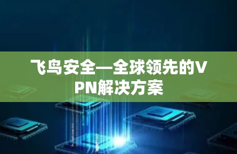 飞鸟安全—全球领先的VPN解决方案