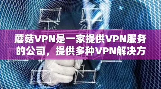 蘑菇VPN是一家提供VPN服务的公司，提供多种VPN解决方案，包括加密VPN、流媒体VPN、视频会议VPN等。蘑菇VPN的最新版本可能指的是其223年发布的版本，比如v3.版本