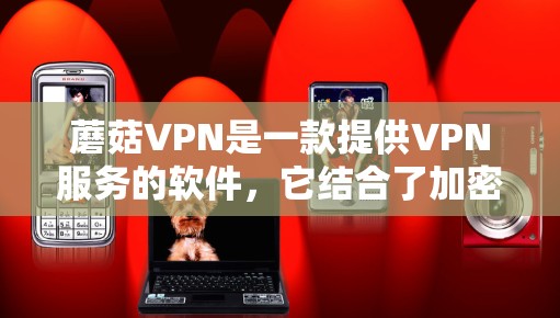 蘑菇VPN是一款提供VPN服务的软件，它结合了加密、可靠性和安全性的特点。如果你对VPN功能的评测感兴趣，以下是对蘑菇VPN功能的评测