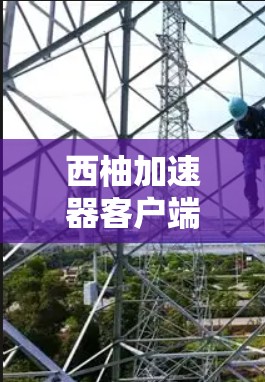 西柚加速器客户端，加速下载，提升效率，告别数据洪流