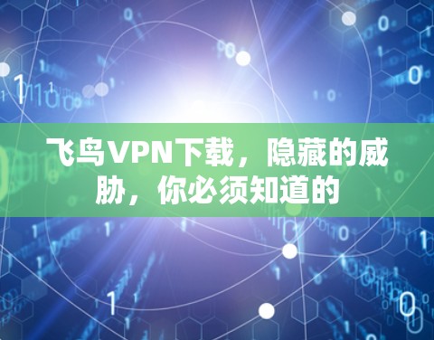 飞鸟VPN下载，隐藏的威胁，你必须知道的