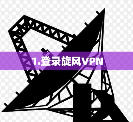 1.登录旋风VPN