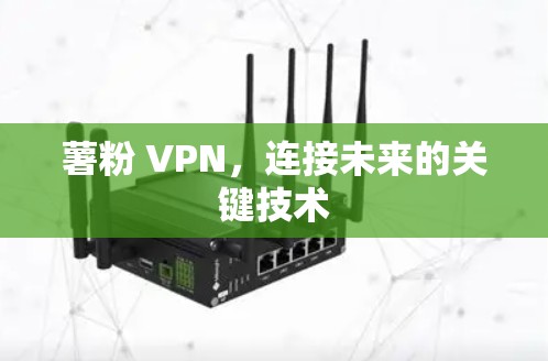 薯粉 VPN，连接未来的关键技术