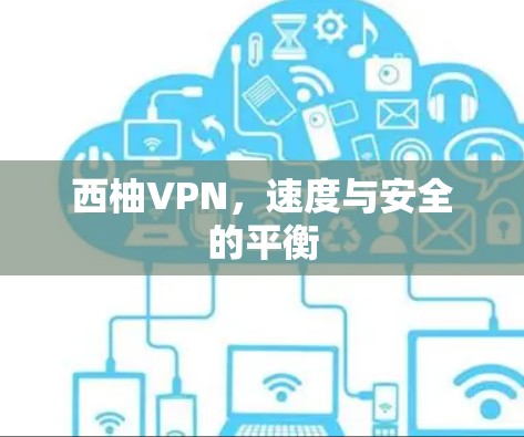 西柚VPN，速度与安全的平衡