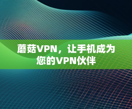 蘑菇VPN，让手机成为您的VPN伙伴
