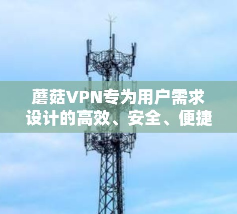 蘑菇VPN专为用户需求设计的高效、安全、便捷的VPN服务