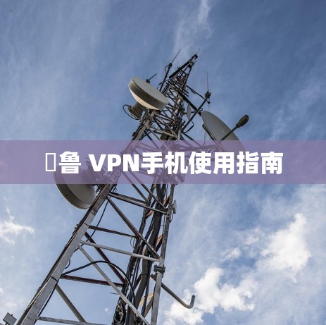 韟鲁 VPN手机使用指南