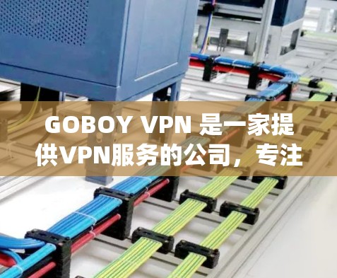 GOBOY VPN 是一家提供VPN服务的公司，专注于为用户提供安全、便捷的网络连接。以下是对其网络体验的系统性分析