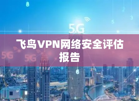 飞鸟VPN网络安全评估报告