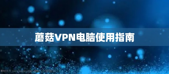 蘑菇VPN电脑使用指南