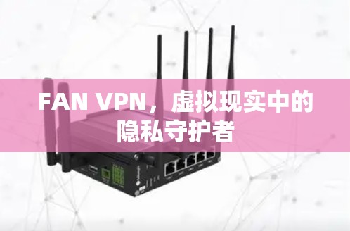 FAN VPN，虚拟现实中的隐私守护者