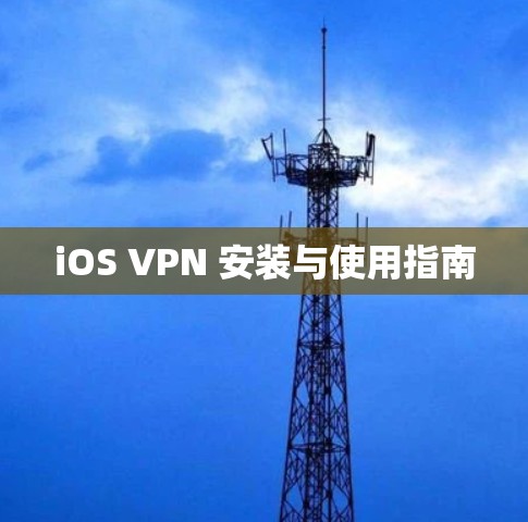 iOS VPN 安装与使用指南