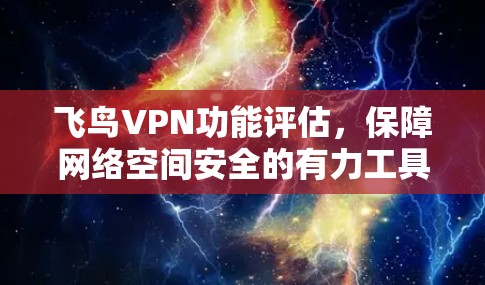 飞鸟VPN功能评估，保障网络空间安全的有力工具