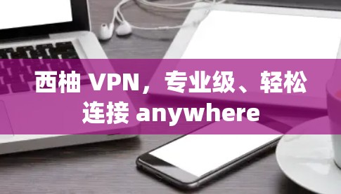西柚 VPN，专业级、轻松连接 anywhere