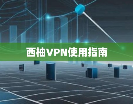 西柚VPN使用指南