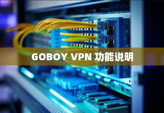 GOBOY VPN 功能说明