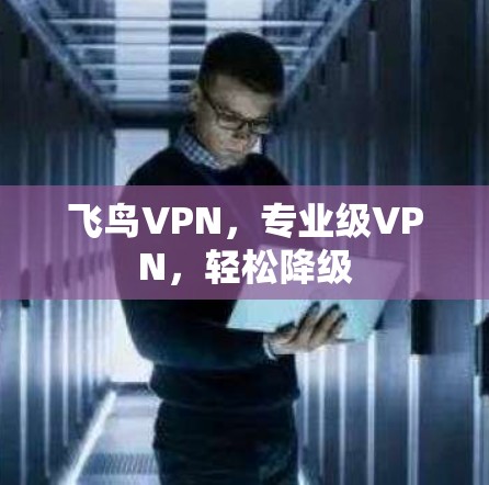 飞鸟VPN，专业级VPN，轻松降级