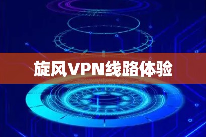 旋风VPN线路体验