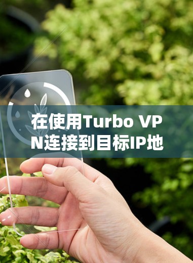 在使用Turbo VPN连接到目标IP地址时，可以按照以下步骤进行