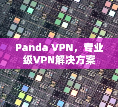 Panda VPN，专业级VPN解决方案