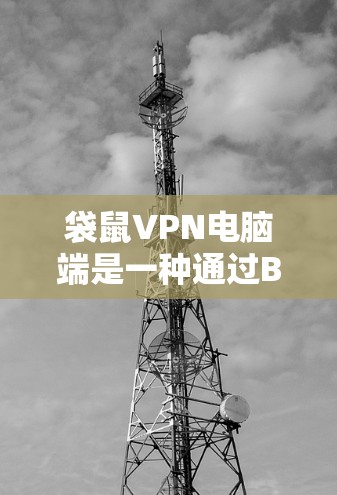袋鼠VPN电脑端是一种通过BBP协议连接到网站的电脑端VPN，提供安全和可靠的服务。以下是使用袋鼠VPN电脑端的步骤