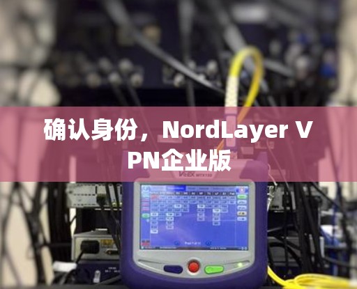 确认身份，NordLayer VPN企业版