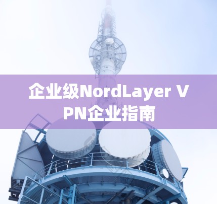 企业级NordLayer VPN企业指南