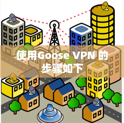 使用Goose VPN 的步骤如下