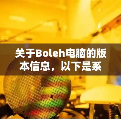 关于Boleh电脑的版本信息，以下是系统性的总结和建议