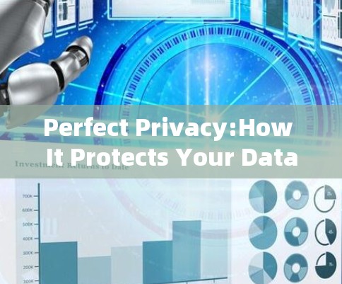 Perfect Privacy:How It Protects Your Data with a VPN