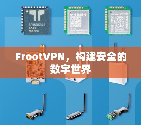 FrootVPN，构建安全的数字世界
