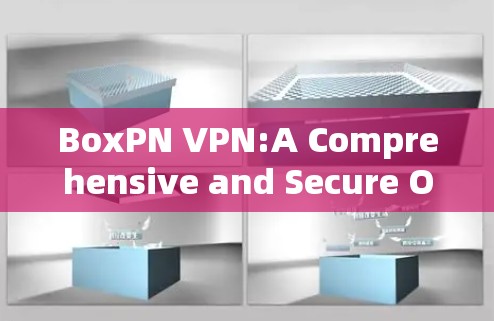 BoxPN VPN:A Comprehensive and Secure Open-Source Solution