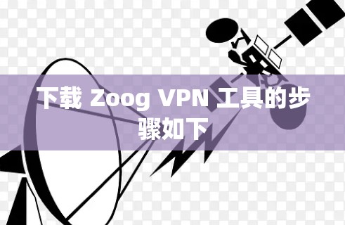 下载 Zoog VPN 工具的步骤如下