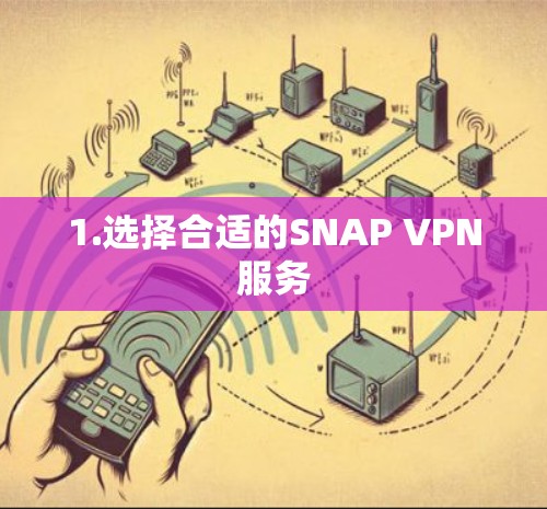 1.选择合适的SNAP VPN服务