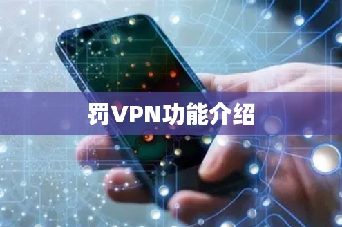罚VPN功能介绍