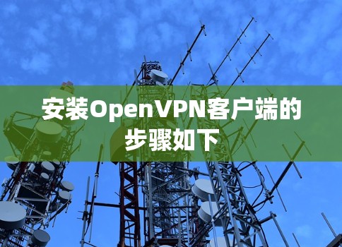 安装OpenVPN客户端的步骤如下