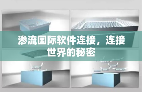 渗流国际软件连接，连接世界的秘密