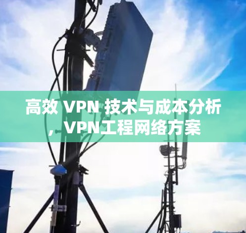 高效 VPN 技术与成本分析，VPN工程网络方案