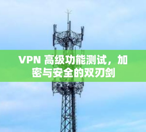 VPN 高级功能测试，加密与安全的双刃剑