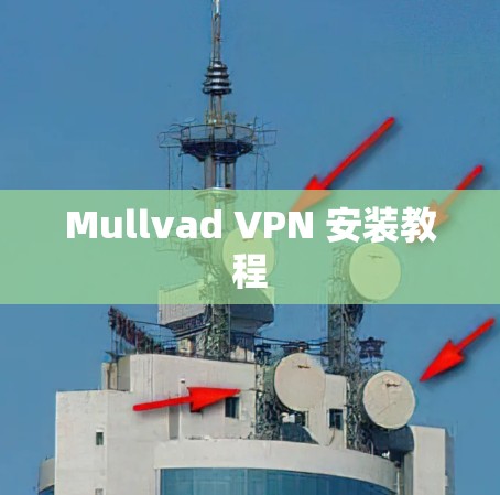 Mullvad VPN 安装教程