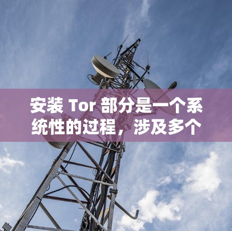 安装 Tor 部分是一个系统性的过程，涉及多个步骤和软件包。以下是一个详细的安装指南