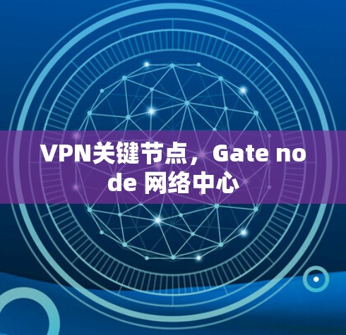 VPN关键节点，Gate node 网络中心